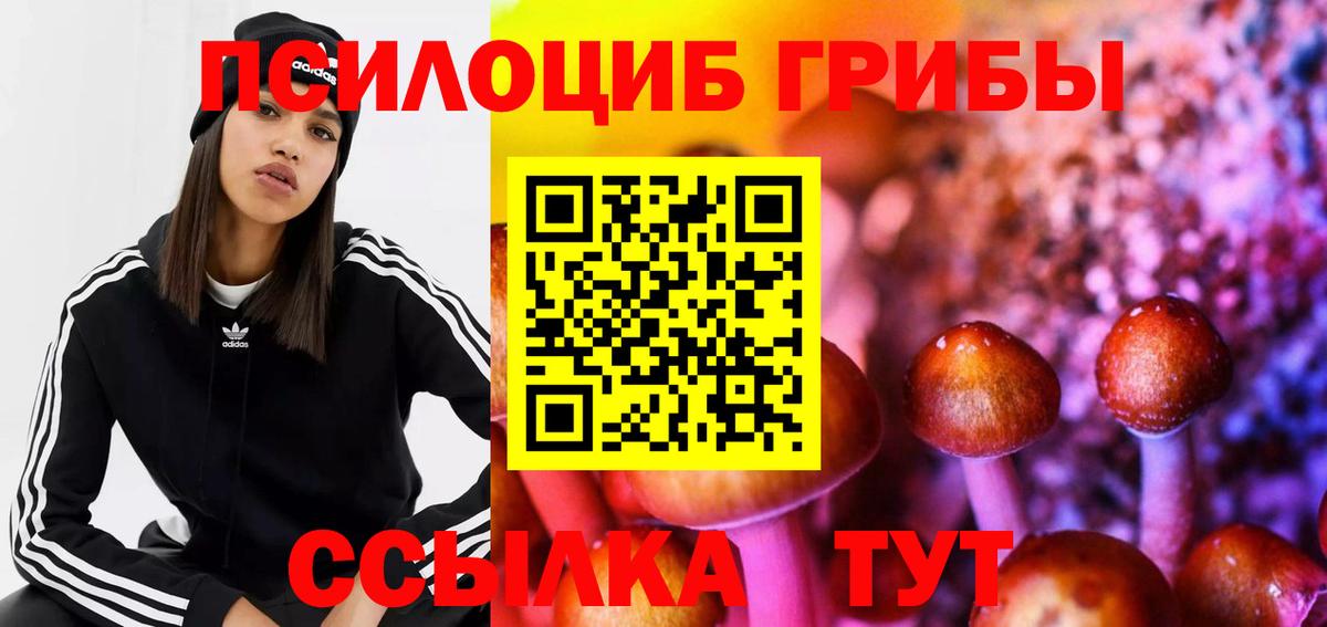 Галлюциногенные грибы Psilocybine cubensis Муравленко