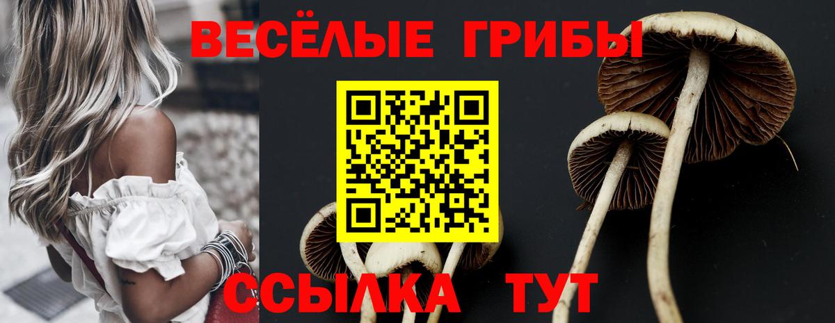 Галлюциногенные грибы Psilocybine cubensis  Вход с VPN  Муравленко  Галлюциногенные грибы Psilocybe 